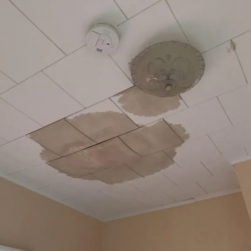 Ceiling Water Damage Repair in Salix, PA