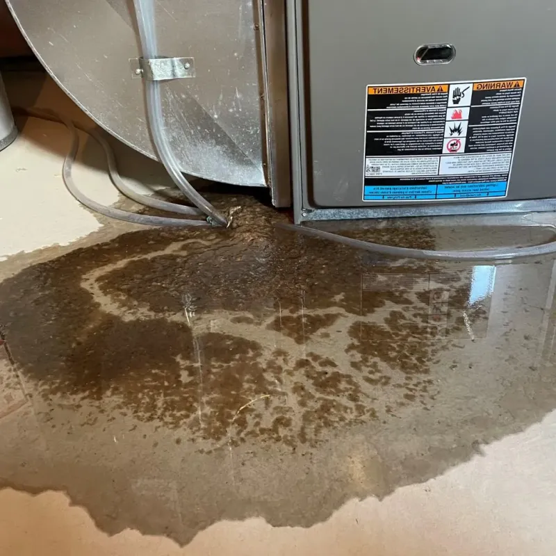 Pipe Burst and Leak Restoration in Salix, PA