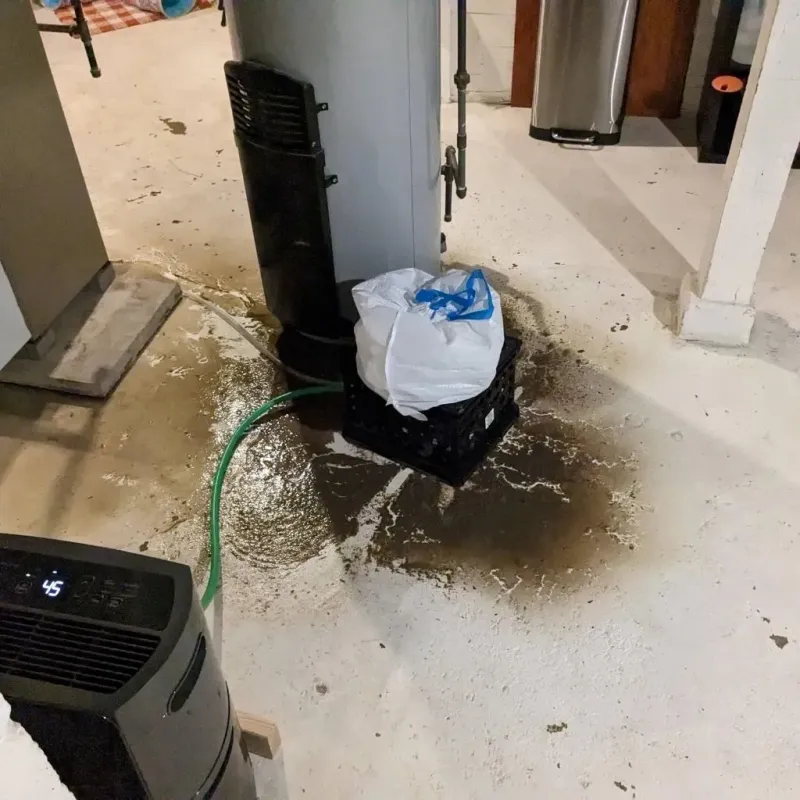 Sewage Backup Cleanup Service in Salix, PA